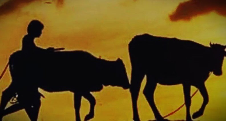 রাতের আধারে কৃষকের তিনটি গরু চুরি
