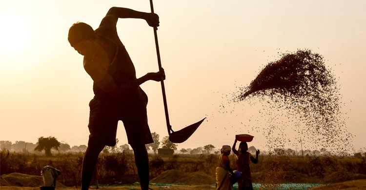 বিশ্বে বেড়েছে খাদ্যপণ্যের দাম