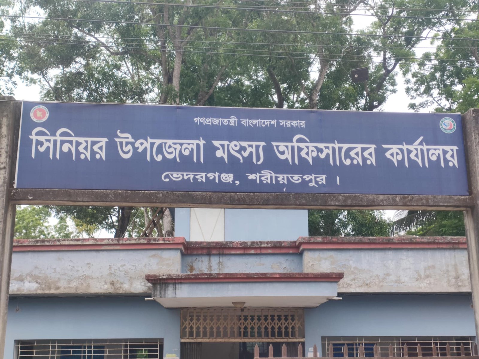 ভেদরগঞ্জে সরকারি সহায়তায় চলছে জাটকা শিকার, জড়িত মৎস্য অফিসের কর্মকর্তারা