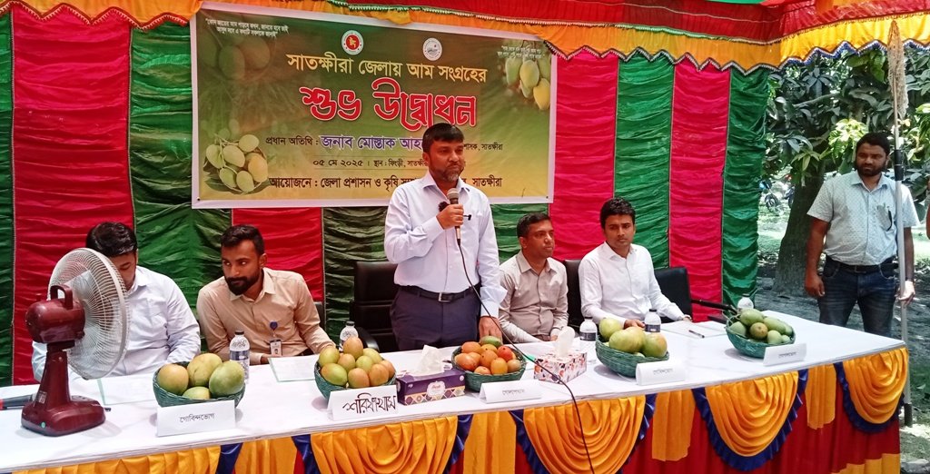 সাতক্ষীরায় বৈশাখী আম সংগ্রহ উদ্বোধন