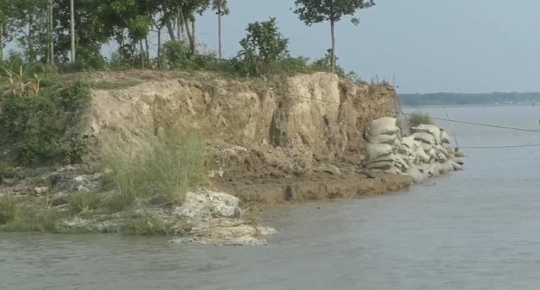 উজানের পানির চাপে ভোলার মেঘনায় তীব্র ভাঙন, ঘরবাড়ী ও ফসলি জমি বিলীন, আতংকিত নদীর পাড়ের মানুষ