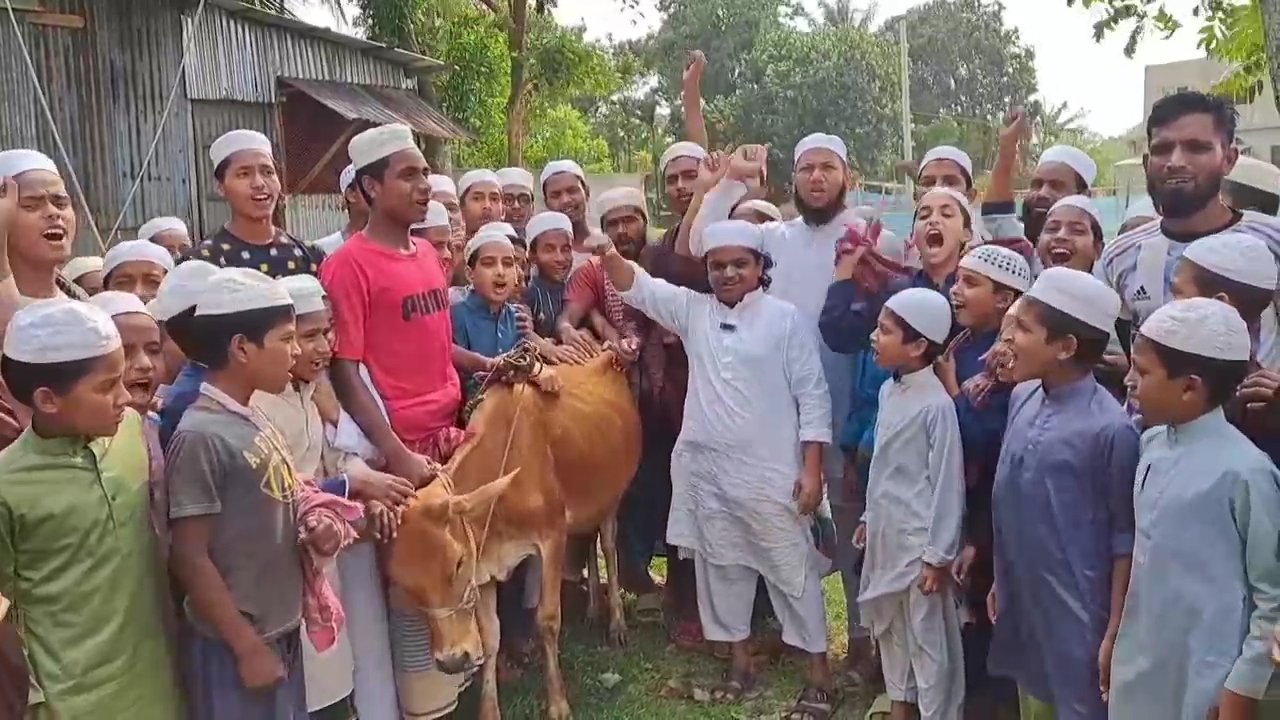 আওয়ামী লীগ নিষিদ্ধের খবরে গরু জবাই, বিরিয়ানি খাওয়ালেন রফিকুল ইসলাম মাদানী