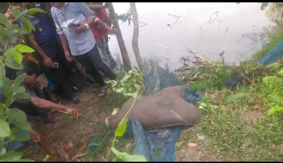 কোম্পানীগঞ্জে বস্তাবন্দি কুকুরের লাশ উদ্ধারে তোলপাড়