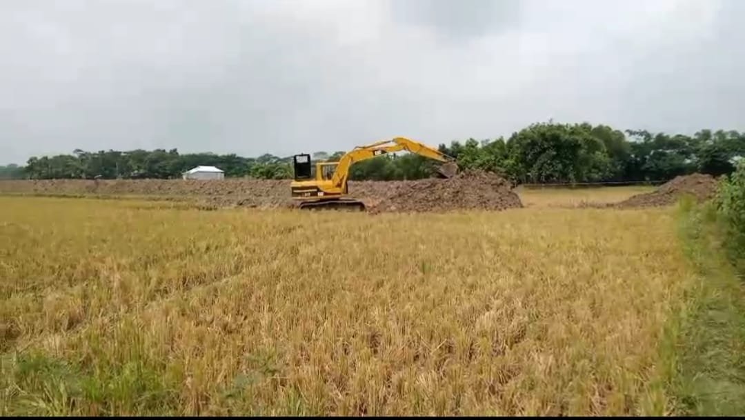 আবাদি জমি কেটে তৈরী হচ্ছে ঘের,অদূরে খাদ্যশস্য সংকটের আশঙ্কা