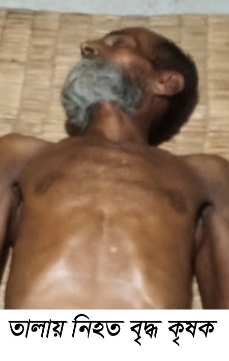 গরু ধান খাওয়া সাতক্ষীরার তালায় বৃদ্ধকে পিটিয়ে হত্যার অভিযোগ!