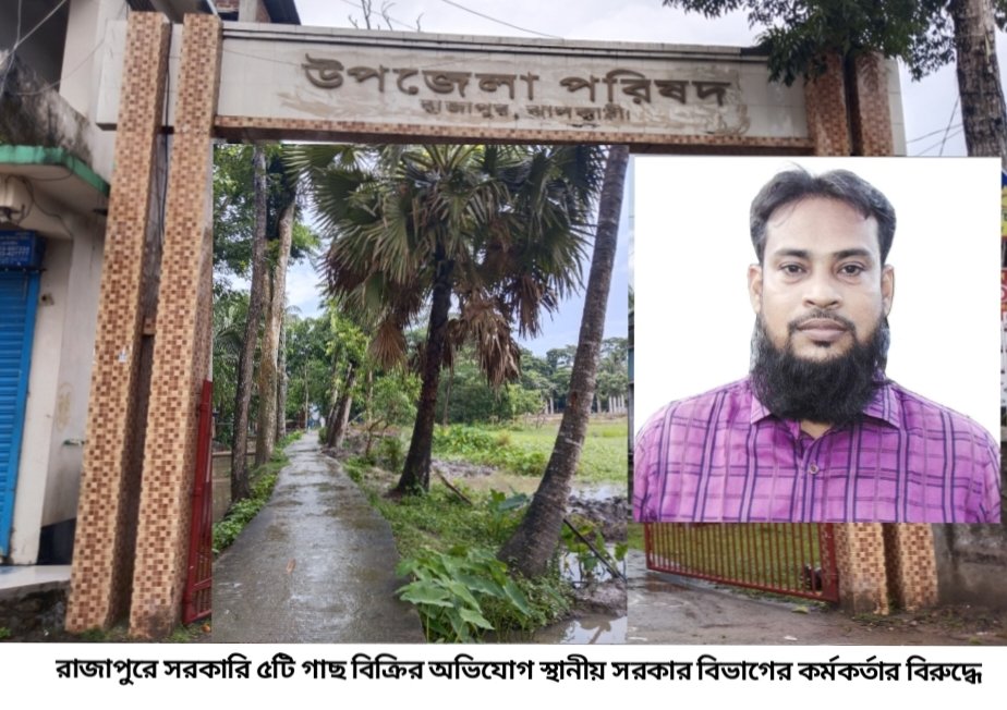 রাজাপুরে সরকারি ৫টি গাছ বিক্রির অভিযোগ স্থানীয় সরকার বিভাগের কর্মকর্তার বিরুদ্ধে