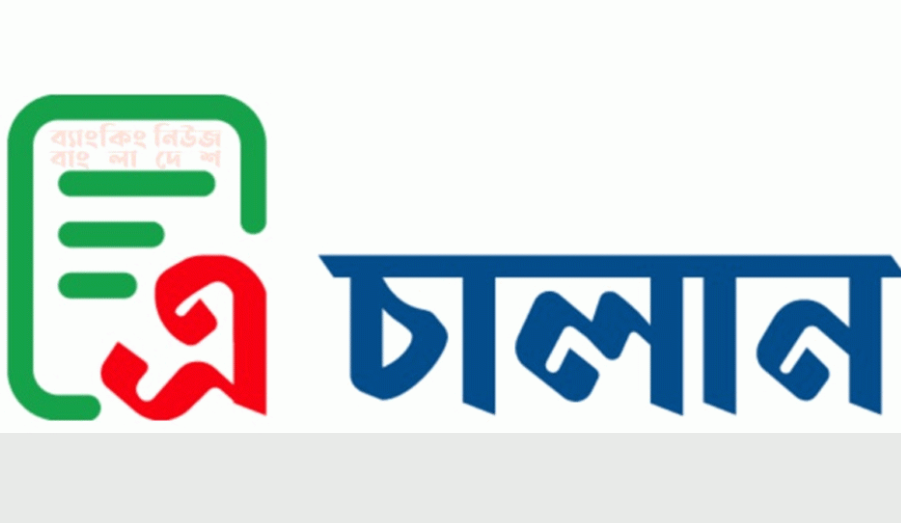 শুল্ক-কর অনলাইনে জমার সুযোগ, চালু হলো ‘এ-চালান’ সিস্টেম