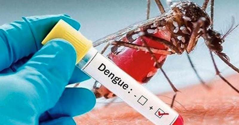 ডেঙ্গুতে একদিনে আক্রান্ত ৩১৭ জন