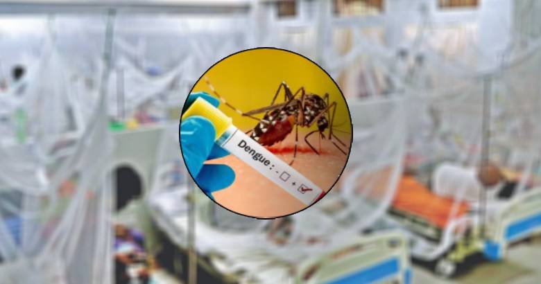 ডেঙ্গুতে একদিনে ৩ মৃত্যু, নতুন আক্রান্ত ৪৯২