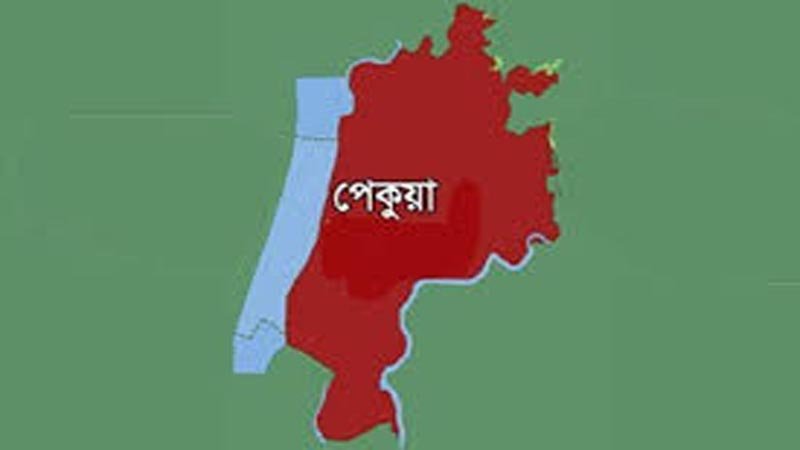 কক্সবাজারের পেকুয়ায় এক রাতে গোয়ালঘর থেকে ৩ গরু চুরি, আতঙ্কে খামারিরা