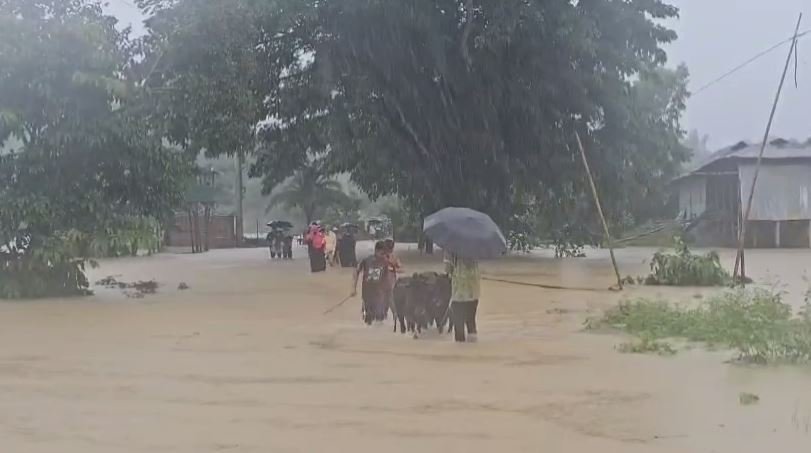 টানা বৃষ্টিতে লংগদুর সড়ক যোগাযোগ বন্ধ, কয়েকটি গ্রামের মানুষ পানিবন্দি