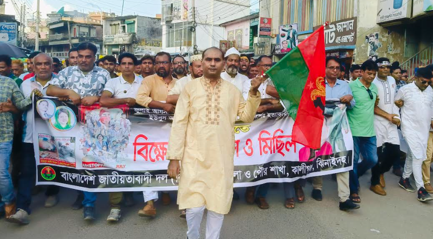 আমরা চাঁদাবাজি সন্ত্রাসী দেখতে চাই না - বিএনপি নেতা হামিদুল ইসলাম হামিদ