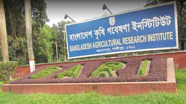 বারিতে বিভিন্ন পদে জনবল নিয়োগ, অনলাইনে আবেদন শুরু