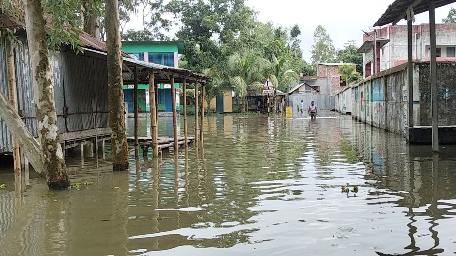 তিস্তাপাড়ে পানিবন্দি হাজারও মানুষ!