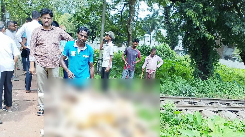 ট্রেনে কাটা পড়ে বাকৃবির ২২টি উন্নত জাতের ভেড়া নিহত