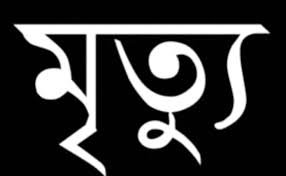 বন্ধুদের সাথে বেড়াতে এসে মেঘনা নদীতে ডুবে যুবকের মৃত্যূ