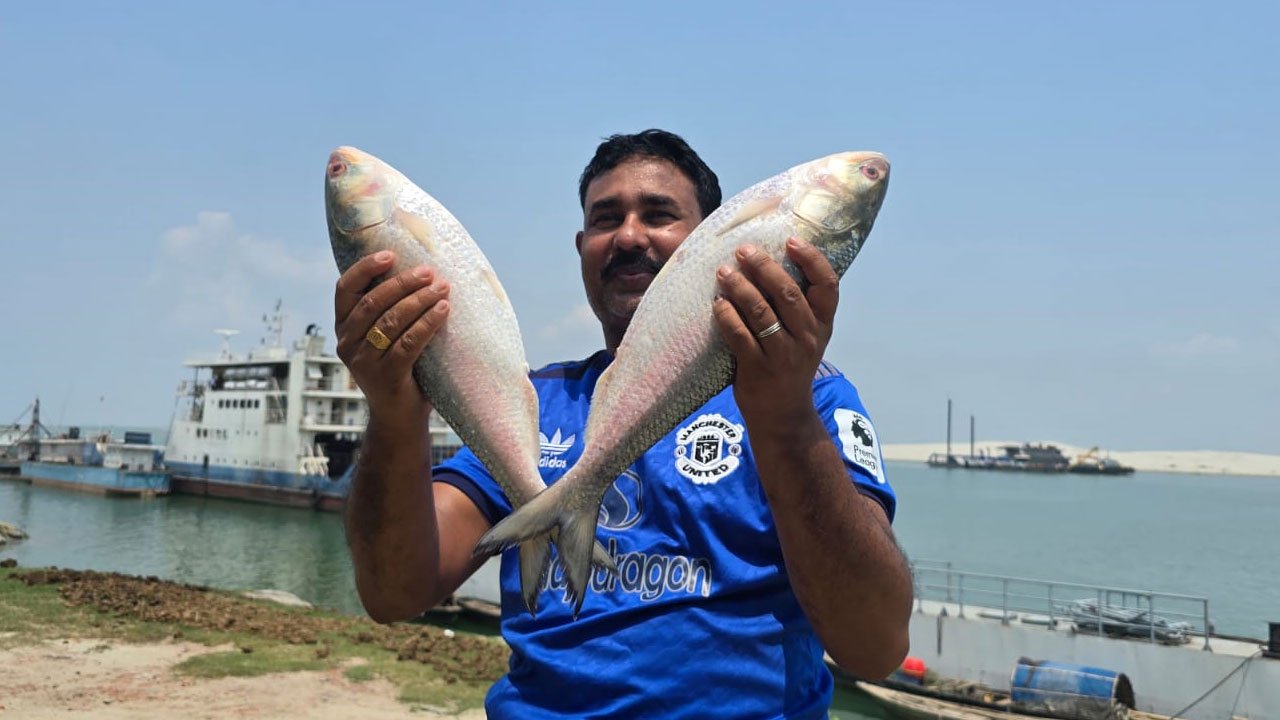 দৌলতদিয়ায় ২ কেজি ৬০০ গ্রাম ওজনের দুটি ইলিশ ১০,৪০০ টাকায় বিক্রি