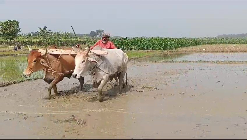 চুয়াডাঙ্গায় একটু কমেছে তাপমাত্রা