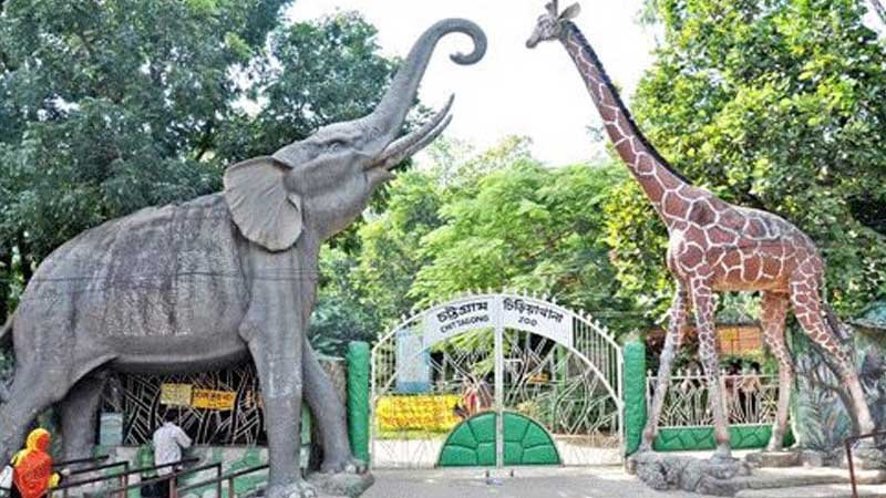 চট্টগ্রাম চিড়িয়াখানায় পিলার ভেঙে ৫ শ্রমিক আহত