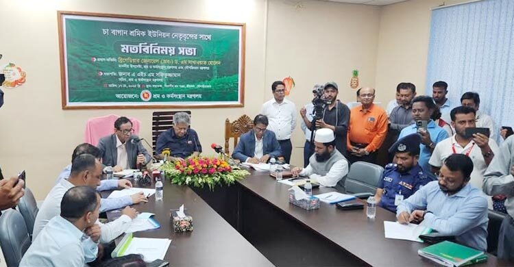 চায়ের দাম বাড়লে শ্রমিকদেরও মজুরি বাড়বে: শ্রম উপদেষ্টা