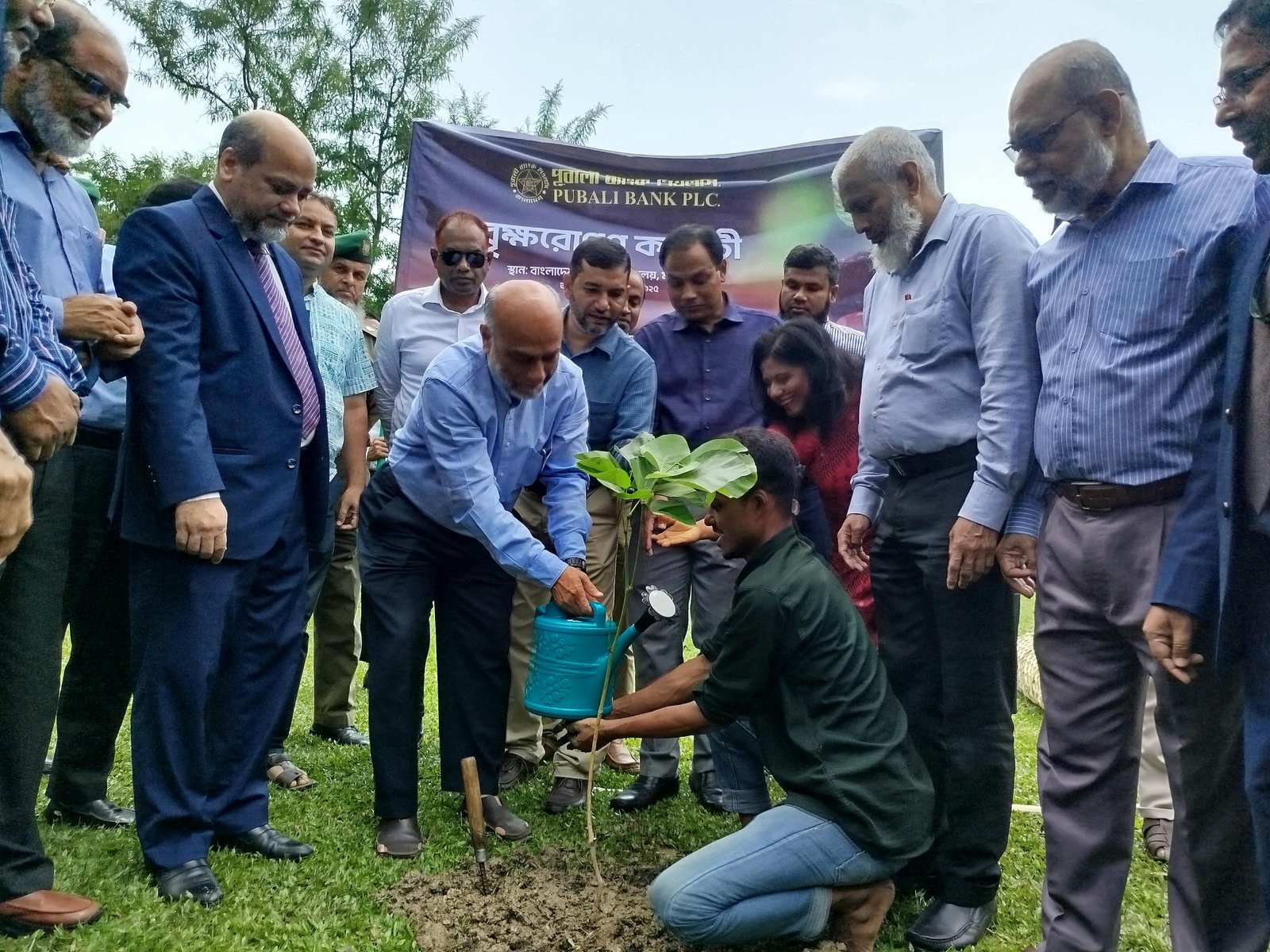 বাকৃবিতে পূবালী ব্যাংকের উদ্যোগে প্রায় ৪ লক্ষ টাকার বৃক্ষরোপণ