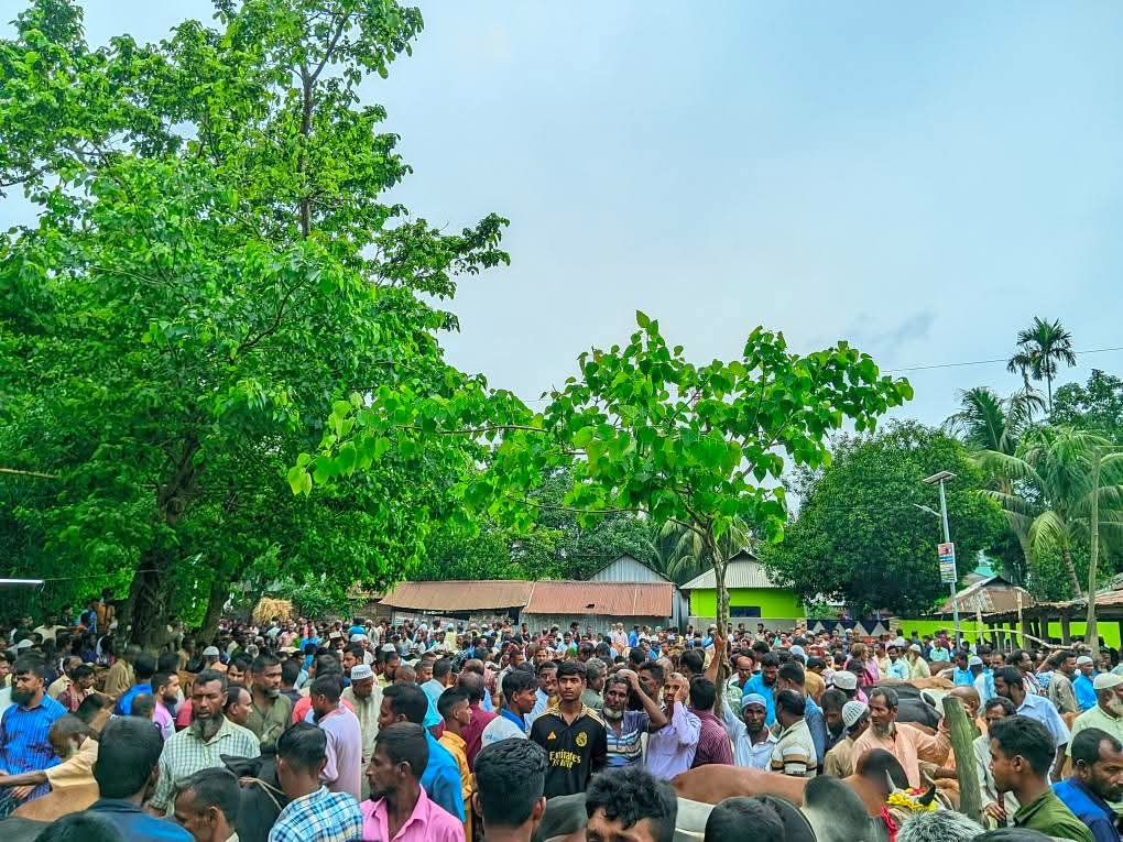 ঝিনাইগাতীর গরুর হাটে ক্রেতা-বিক্রেতার ঢল