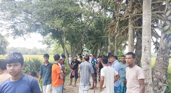 রাজাপুরে দেশীয় অস্ত্র নিয়ে জমি দখলের চেষ্টা, পরিবার অবরুদ্ধ — এলাকায় চরম উত্তেজনা