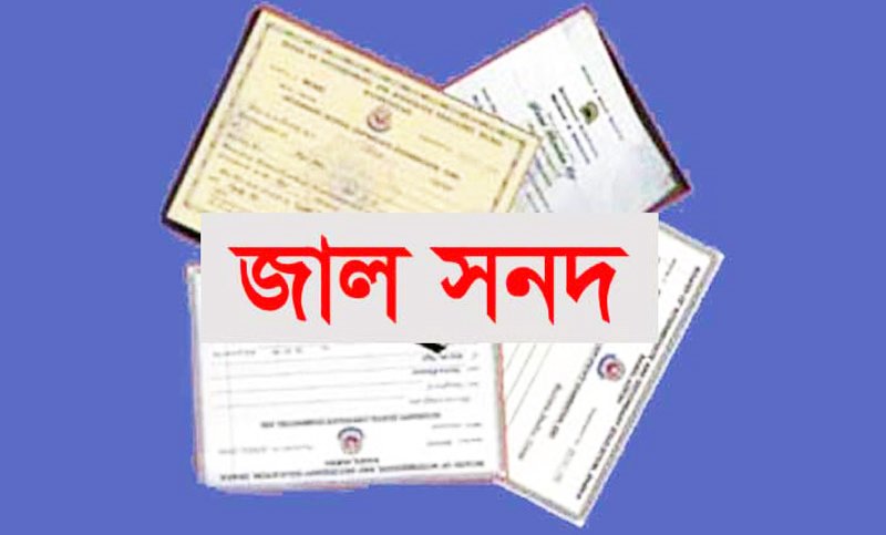 যুবলীগের প্রভাব খাটিয়ে জাল সনদে শিক্ষকতার অভিযোগ