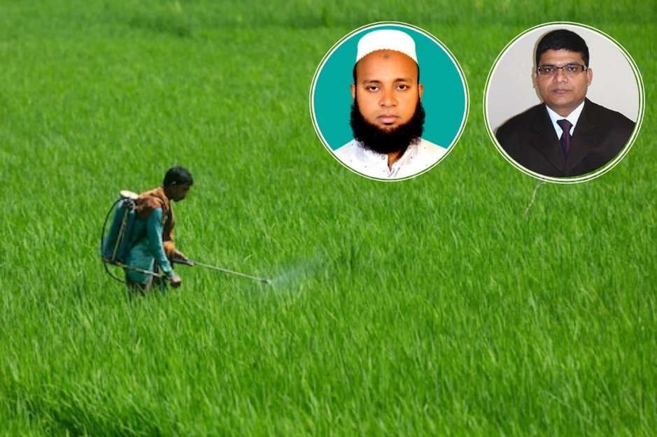 কৃষিতে অতিরিক্ত বালাইনাশকের বিষ ছড়াচ্ছে পরিবেশ ও খাদ্যচক্রে, গবেষকদের পরামর্শ