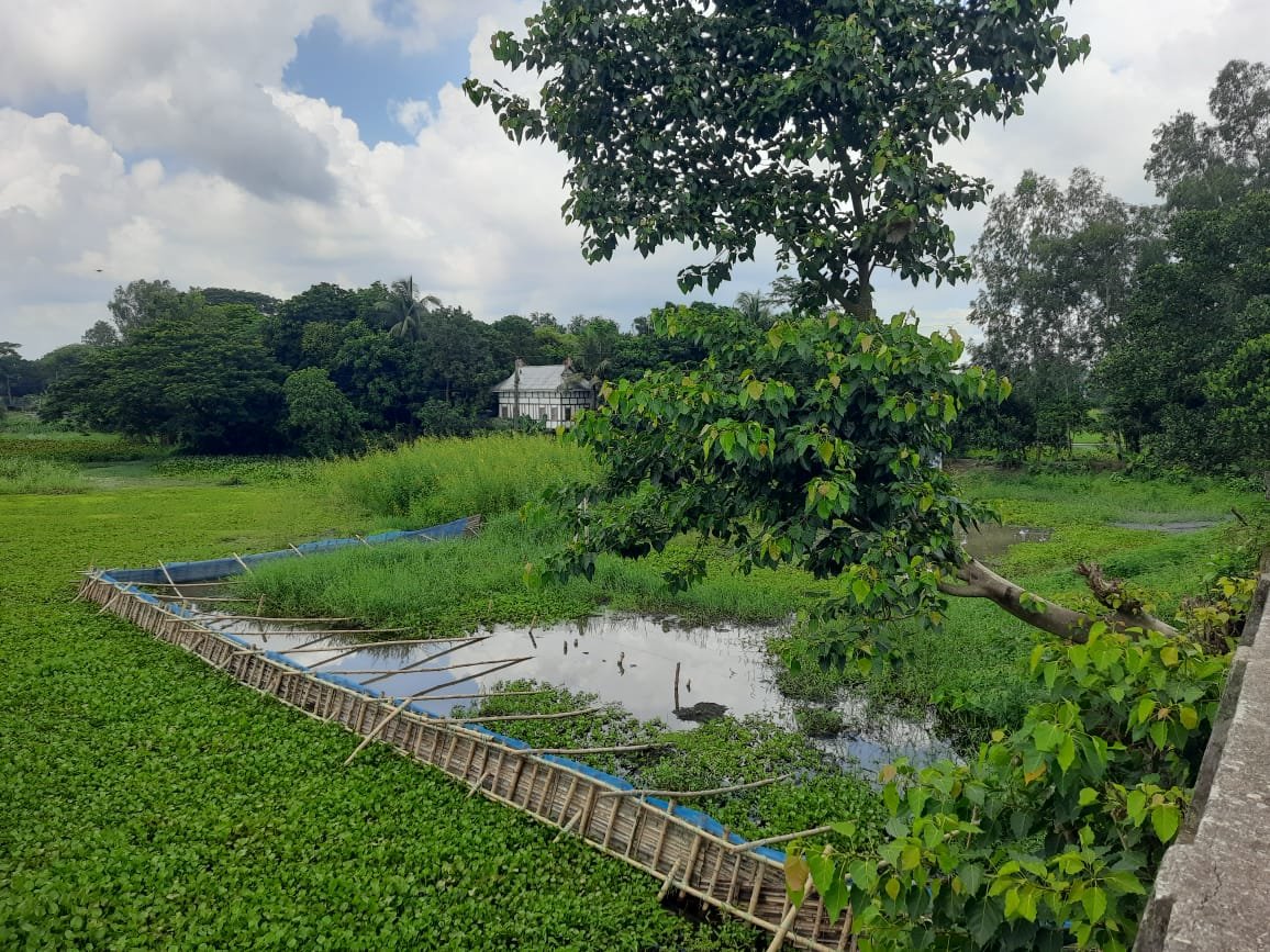 লৌহজংয়ে ফসলি জমি কেটে চলছে ড্রেজার বাণিজ্য