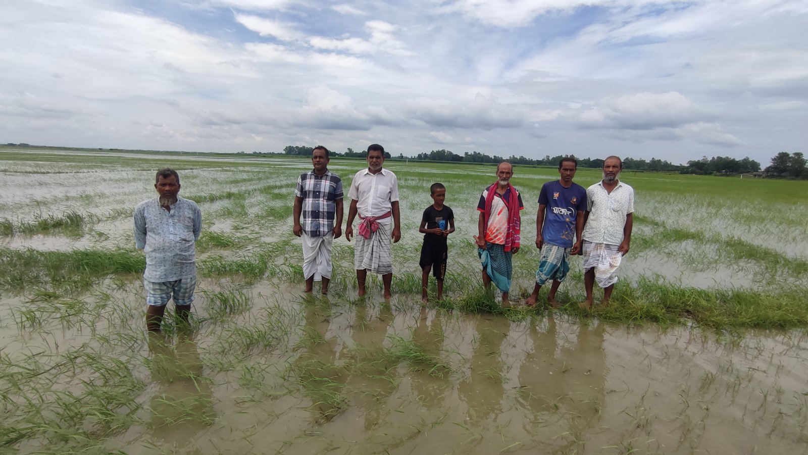 তলিয়ে গেছে গাজনার বিলের ২০০ বিঘা জমির আমন ধান ক্ষেত; দিশেহারা কৃষক