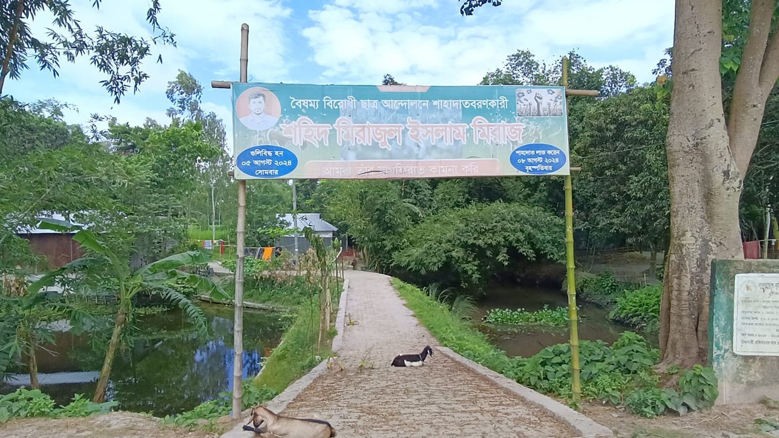 বাড়ি করতে বেদখল জমি উদ্ধার করে চান শহীদ মিরাজের মা