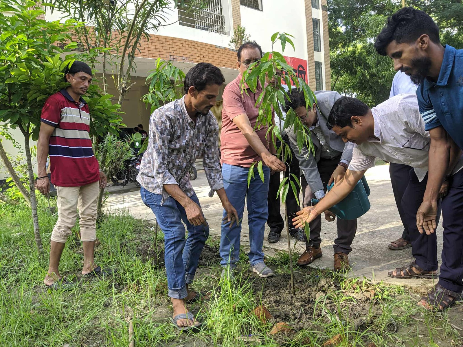 নোবিপ্রবিতে পরিকল্পিত বৃক্ষরোপণ কর্মসূচির উদ্বোধন