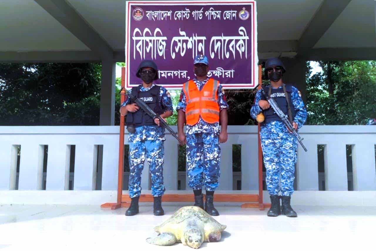 সুন্দরবনের চুনকুরি নদী থেকে আহত কচ্ছপ উদ্ধার, বনের পুকুরে অবমুক্ত