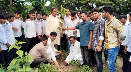 হরিণাকুন্ডুতে পরিবেশের ভারসাম্য রক্ষায় গাছের চারা রোপন ও বিতরণ