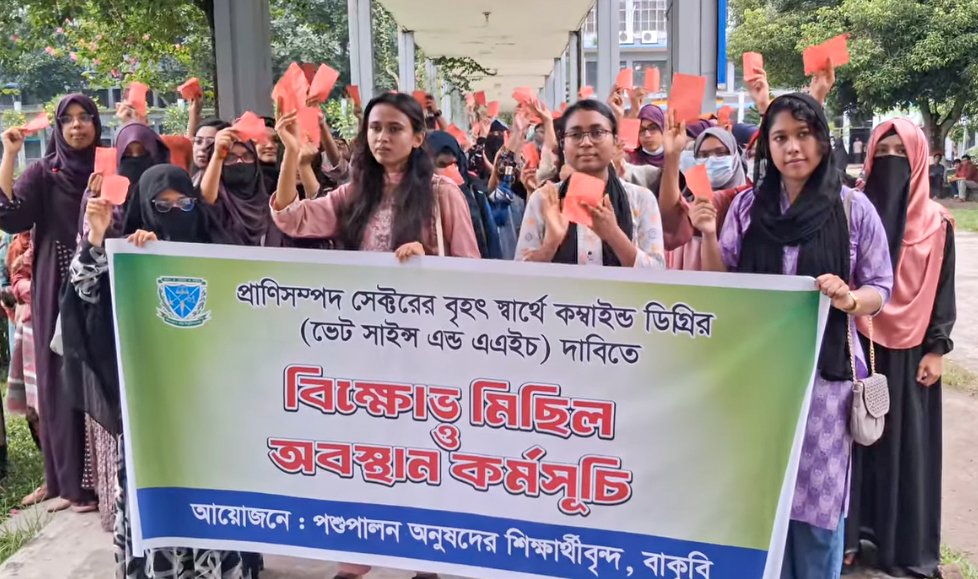বাহা'কে বাকৃবির পশুপালন অনুষদের শিক্ষার্থীদের লাল কার্ড প্রদর্শন
