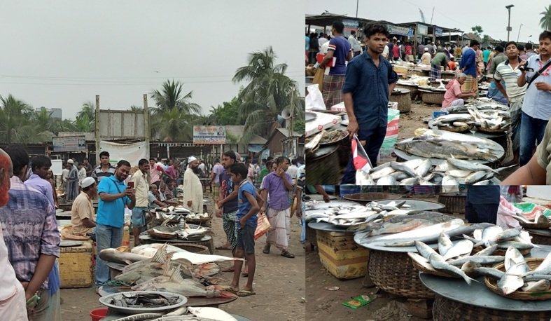 দেশের বহু আলোচিত ২ ঘন্টার মাছের বাজার কোটি কোটি টাকা বিকি-কিনি