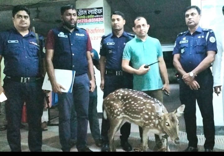 ভোলায় অতি জোয়ারে বনের হরিন লোকালয়ে!