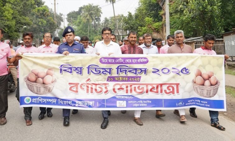 চুয়াডাঙ্গায় বিশ্ব ডিম দিবস উপলক্ষে বর্ণাঢ্য শোভাযাত্রা আলোচনা সভা অনুষ্ঠিত