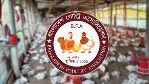 দাবি না মানলে সারাদেশে ডিম-মুরগি উৎপাদন বন্ধ থাকবে!