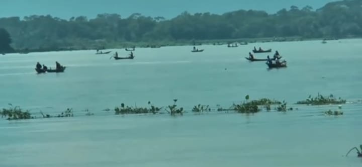 মা ইলিশ রক্ষায় অভিযান, অভিযোগ উঠছে গোপনে শিকার নিয়ে