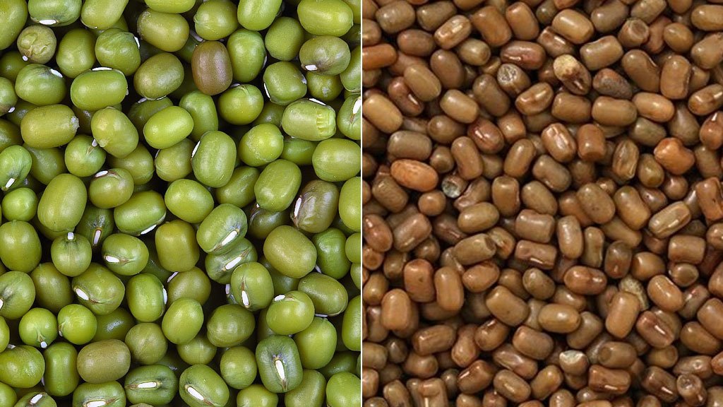 "মথ ডালের সঙ্গে হলুদ রঙ মিশিয়ে মুগ ডাল বিক্রি"