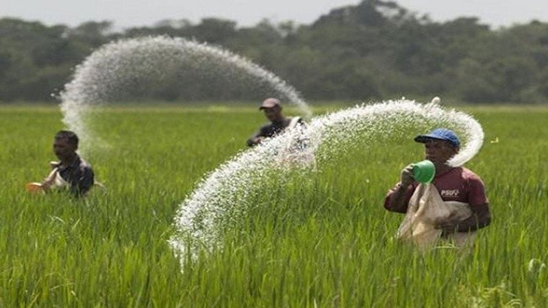 সার ব্যবস্থাপনা নীতিমালা ডিসেম্বরেই চূড়ান্ত হচ্ছে